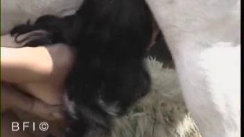 Dark-haired woman orally pleasures the horse's penis in the nude before self-stimulating