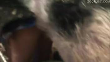 Intimate view of a lustful beast pounding that narrow entrance