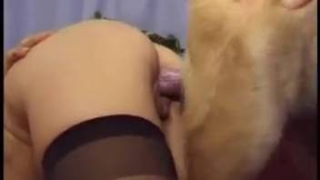 Married duo and pooch in insane adult tube bestiality clip