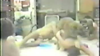 Incredibly uncommon 1970s animal sex film featuring skilled canines