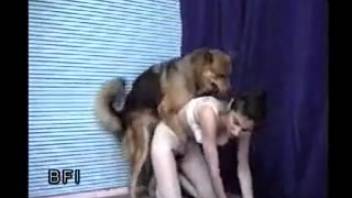 Intense bestiality video featuring rough doggy-style sex