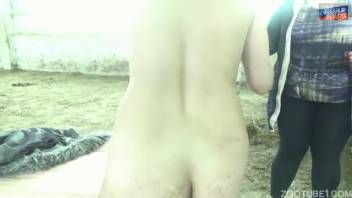 Mature woman handles an enormous equine penis in her vagina and mouth