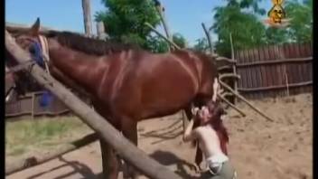 Nude hottie with a slender figure in breathtaking outdoor settings of equine adult content.