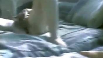 Exclusive homemade bestiality video featuring a nude novice spouse obsessed with dick