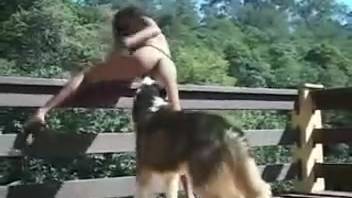 Husky receives erotic oral pleasure from stunningly sexy blonde animal lover whore