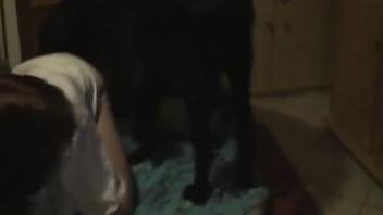 Sultry ginger bombshell gets intimate with her pooch in wet adult action